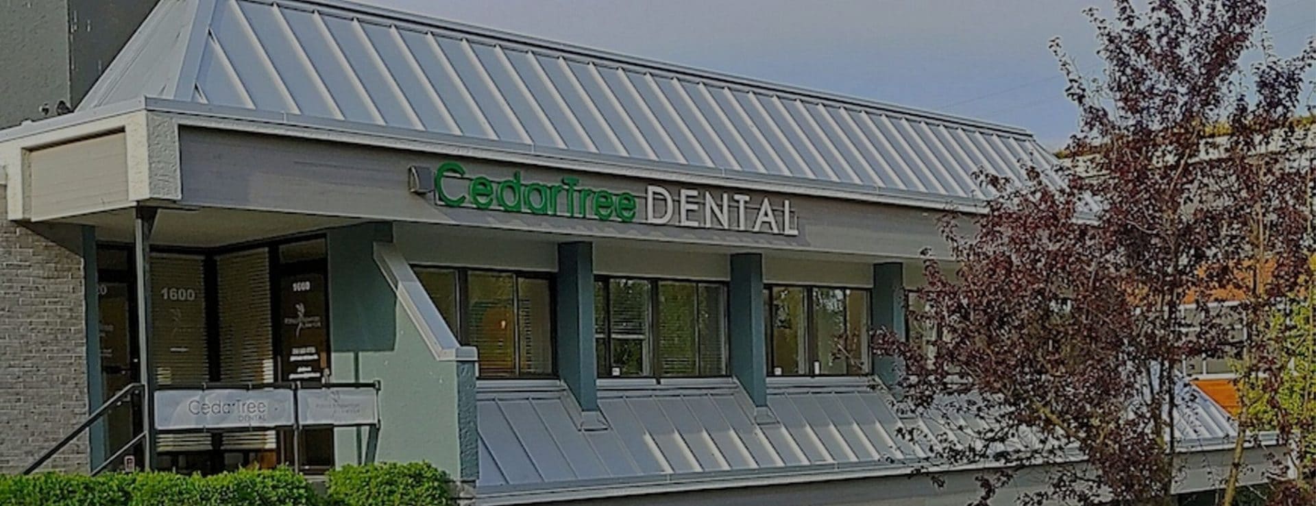  Cedar Tree Dental Rear