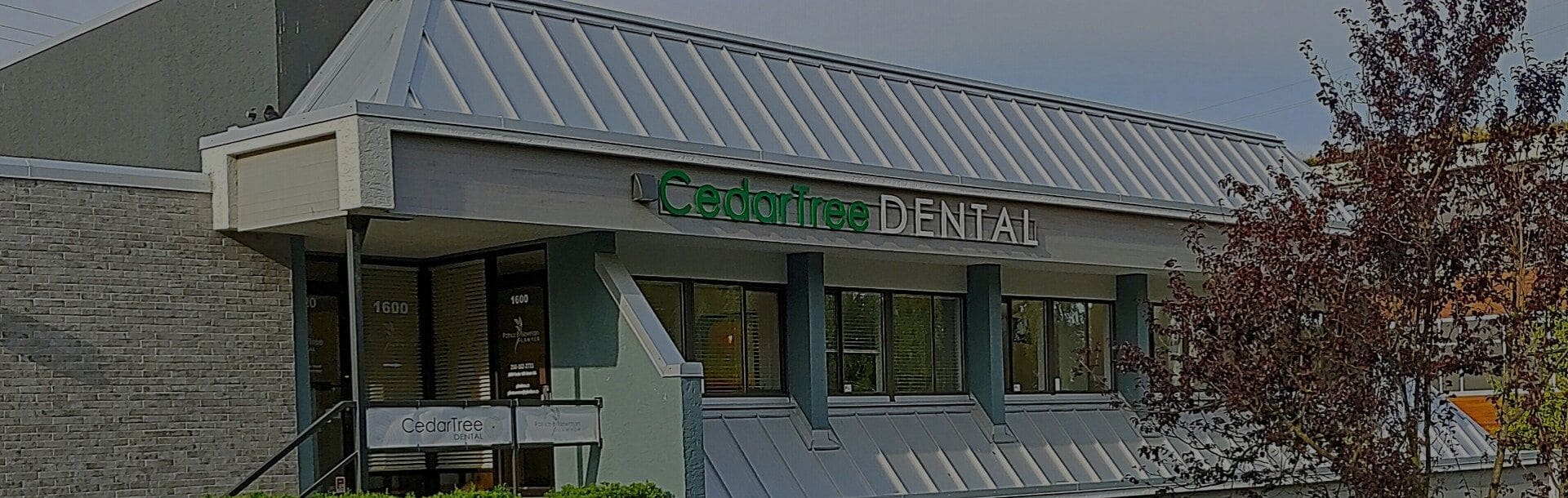 Cedar Tree Dental
